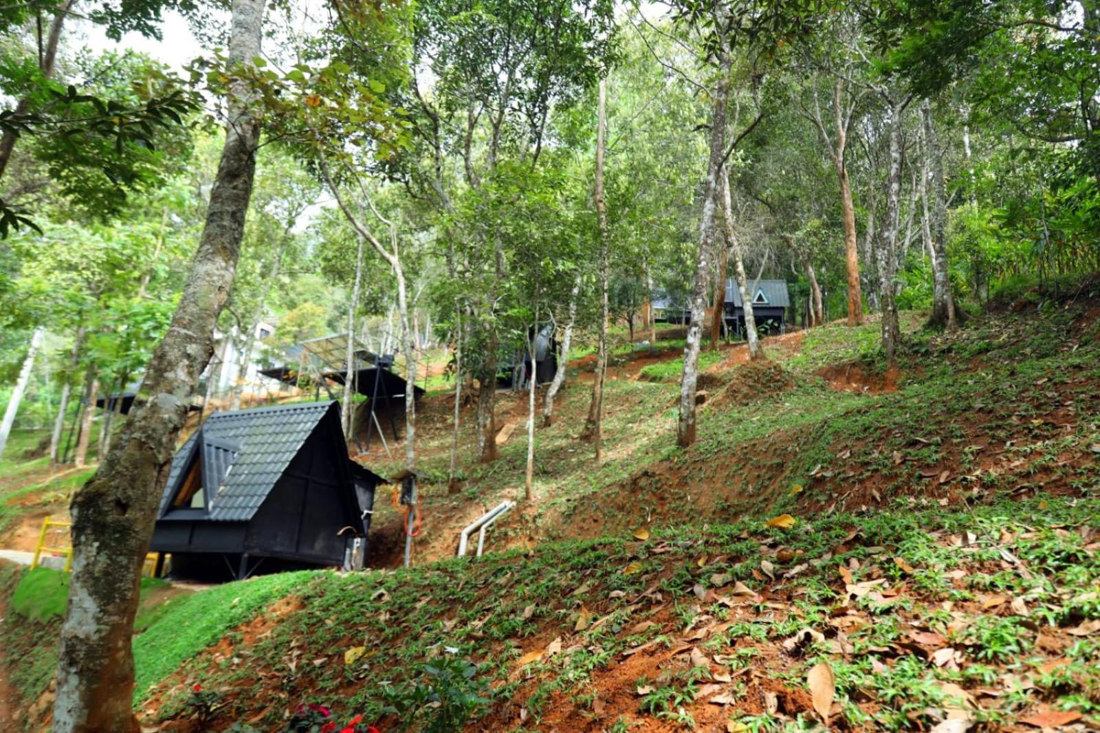 Garden Of Eden-Thottam Munnar-Hiking And Camping Anachal Exterior foto