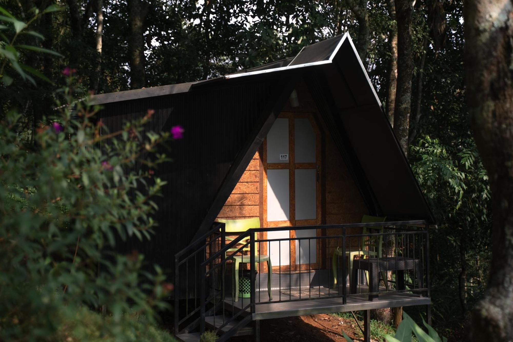 Garden Of Eden-Thottam Munnar-Hiking And Camping Anachal Exterior foto